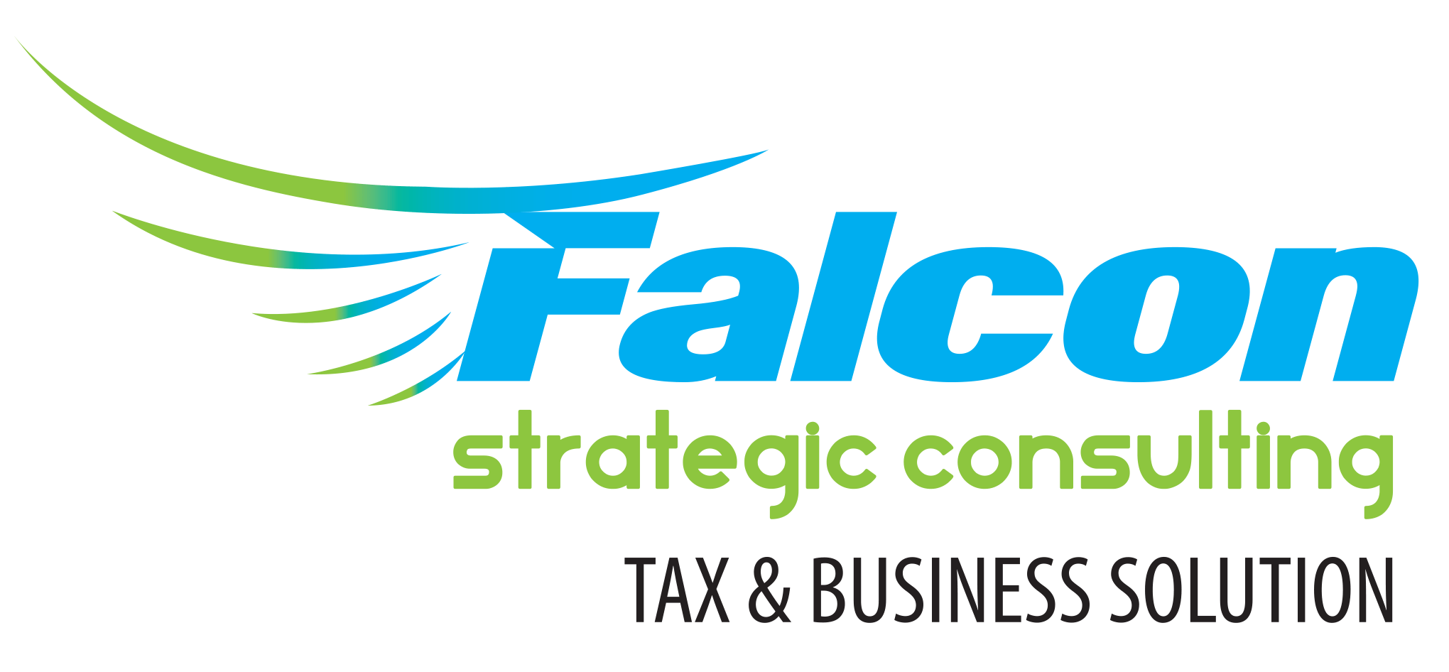 Falcon Strategic Consulting